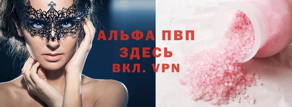 ПСИЛОЦИБИНОВЫЕ ГРИБЫ Белокуриха