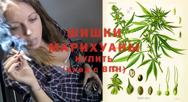 ПСИЛОЦИБИНОВЫЕ ГРИБЫ Белокуриха