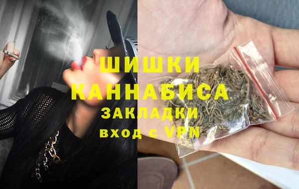 ПСИЛОЦИБИНОВЫЕ ГРИБЫ Белокуриха