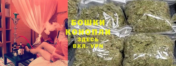 ПСИЛОЦИБИНОВЫЕ ГРИБЫ Белокуриха